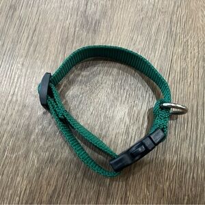 Green Dog Collar with Black Buckle